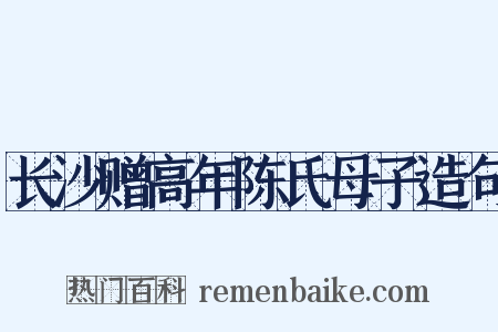 长沙赠高年陈氏母子造句是什么意思的图片